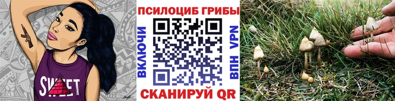 Купить закладки  Курск  Галлюциногенные грибы мухоморы 
